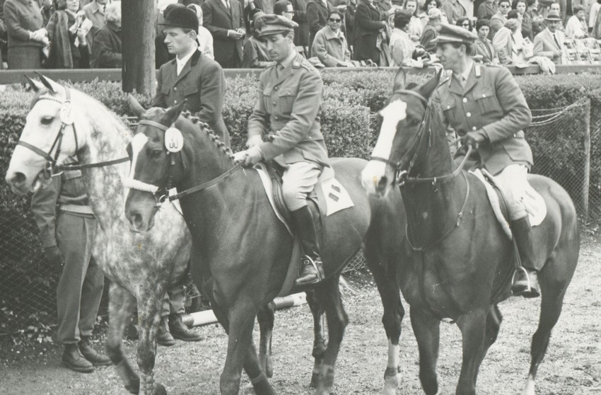 Domani Malagò all'inaugurazione di Viale Piero e Raimondo D'Inzeo a Villa Borghese