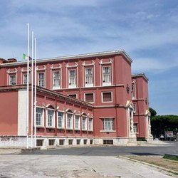 CONI: Martedì 18 ottobre il Seminario Internazionale sugli sport di combattimento